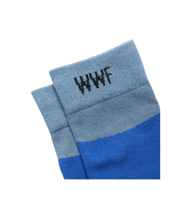 WWF x Healthy Seas Socks ecological sock with blue, roe, light blue and petrol color HEALTHY SEAS SOCKS