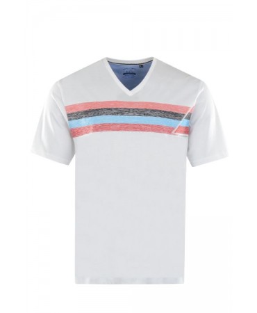Men's v neck t-shirt on a white base with a hajo print